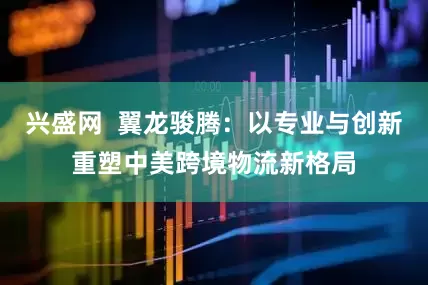 兴盛网  翼龙骏腾：以专业与创新重塑中美跨境物流新格局