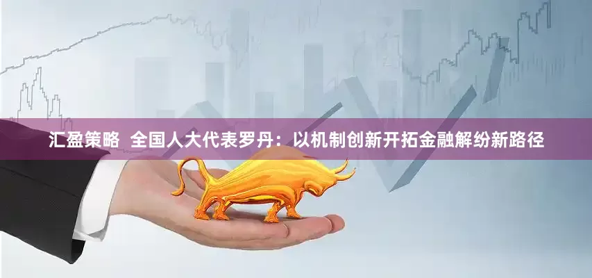 汇盈策略  全国人大代表罗丹：以机制创新开拓金融解纷新路径