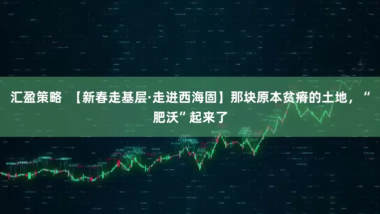 汇盈策略  【新春走基层·走进西海固】那块原本贫瘠的土地，“肥沃”起来了